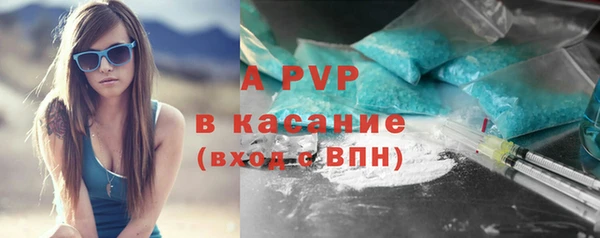 сатива Арсеньев