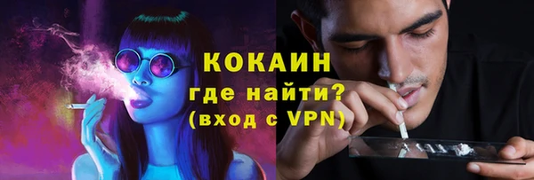 сатива Арсеньев