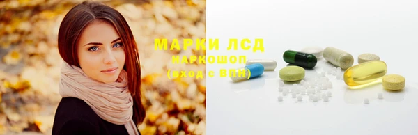 сатива Арсеньев