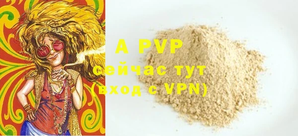 сатива Арсеньев