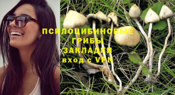 сатива Арсеньев