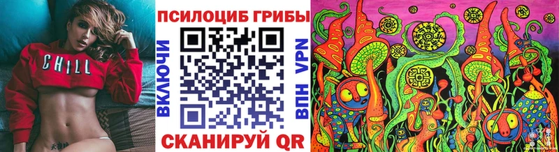 что такое наркотик  Зеленодольск  kraken сайт  Галлюциногенные грибы мицелий 